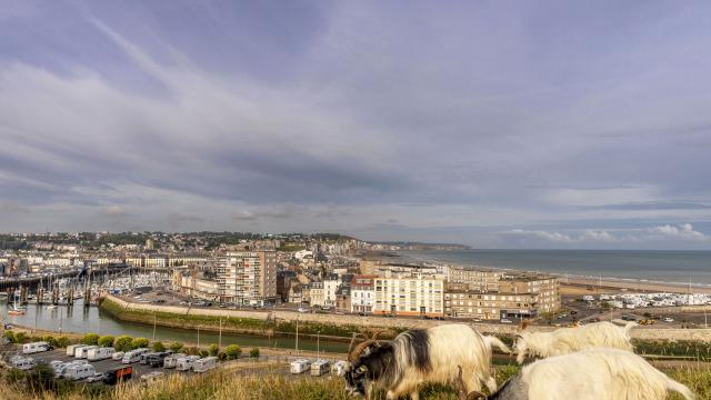 Point de vue depuis Chapelle de Bonsecours de Dieppe : entrée du chenal, bout du quai Henri IV, 2 chèvres pâturent au 1er plan