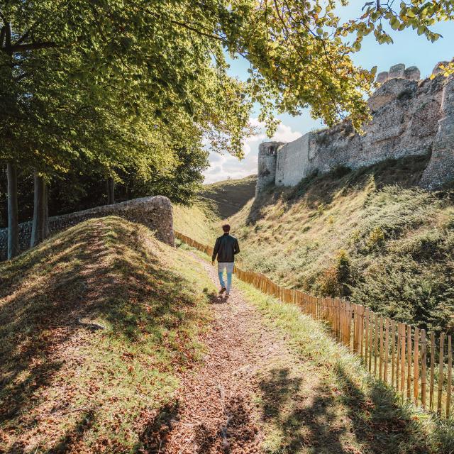 Jeune homme de dos se baladant autour des ruines du château d'Arques-la-Bataille