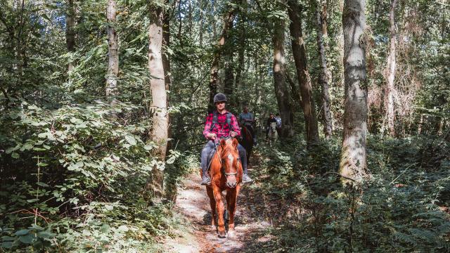 Promeneurs à cheval dans le Bois de Bernouville