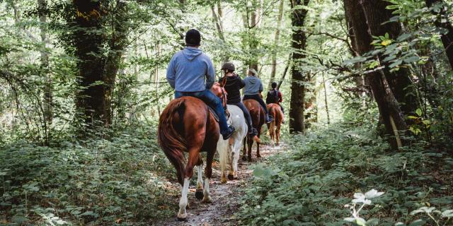 Quatre promeneurs à cheval dans le Bois de Bernouville.