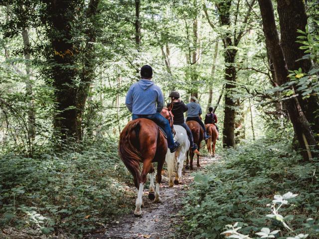 Quatre promeneurs à cheval dans le Bois de Bernouville.