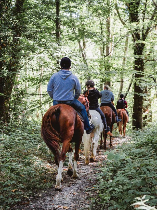 Quatre promeneurs à cheval dans le Bois de Bernouville.