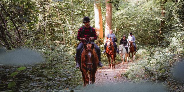 Quatre promeneurs à cheval dans le Bois de Bernouville.