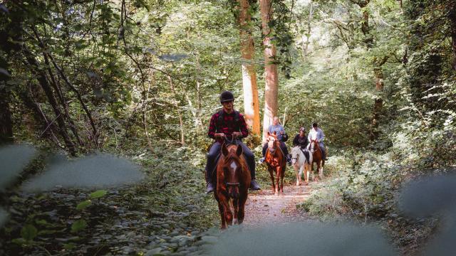 Quatre promeneurs à cheval dans le Bois de Bernouville.