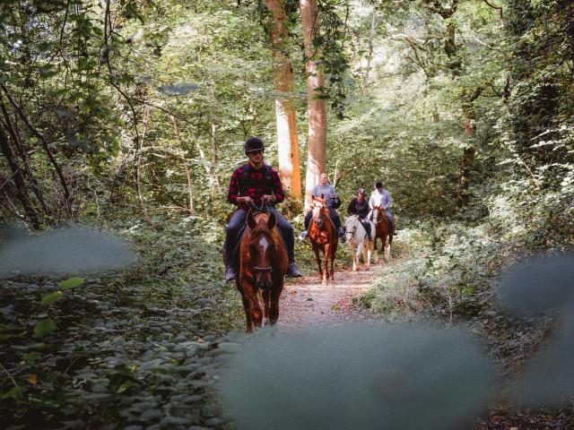 Quatre promeneurs à cheval dans le Bois de Bernouville.