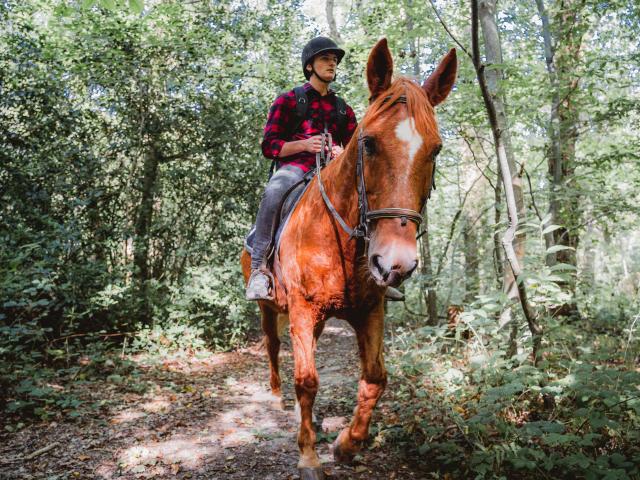 Jeune homme à cheval dans le bois de Bernouville.