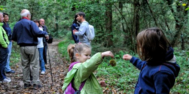 Groupe de personnes en visite dans un espace naturel sensible avec un guide