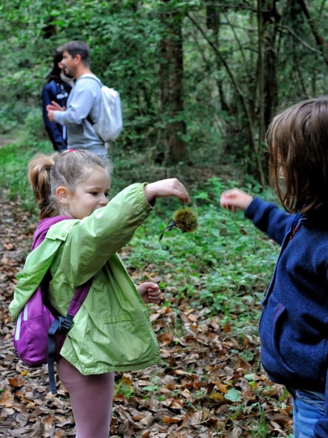 Groupe de personnes en visite dans un espace naturel sensible avec un guide