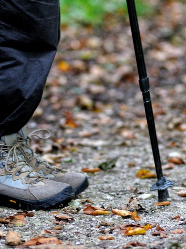 Pieds d'un randonneur en forêt avec ses bâtons de marche