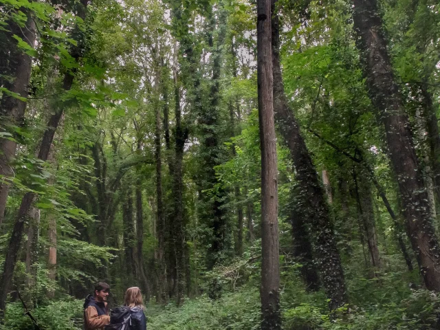 Bois De Bernouville Hautot Ens August Voyage 1