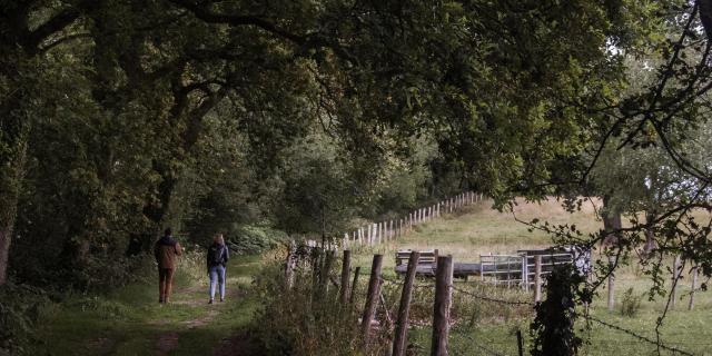 Bois De Bernouville Hautot Ens August Voyage 3