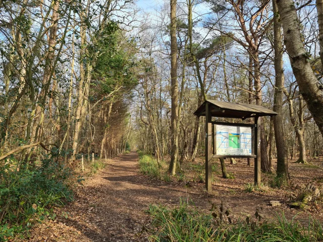 Paysage de bois hivernal, panneau explicatif en bois