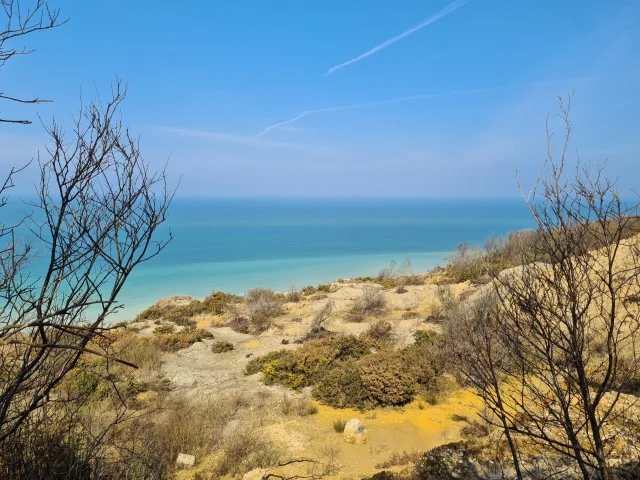 Végétation hivernale et vue la mer à l'horizon