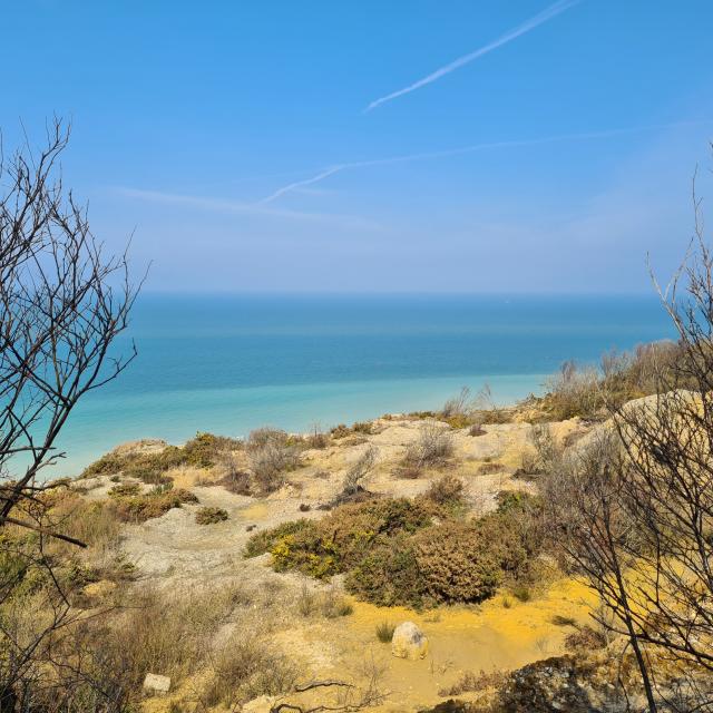 Végétation hivernale et vue la mer à l'horizon