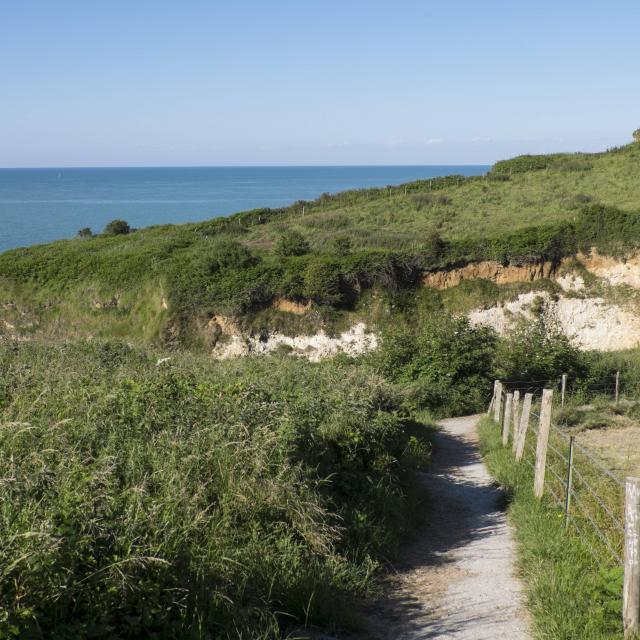 valleuse des Moutiers à Varengeville-sur-Mer (76) près de Dieppe sur la côte d'albâtre dans le pays de Caux