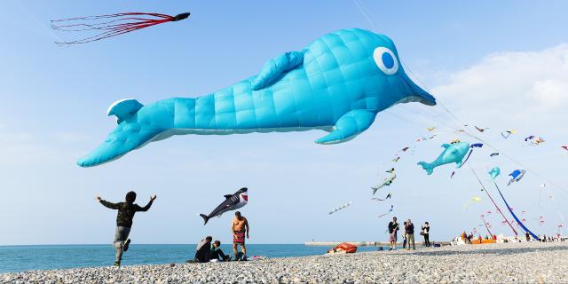 Un cerf-volant géant en forme de dauphin vole au-dessus de personnes sur la plage de galets