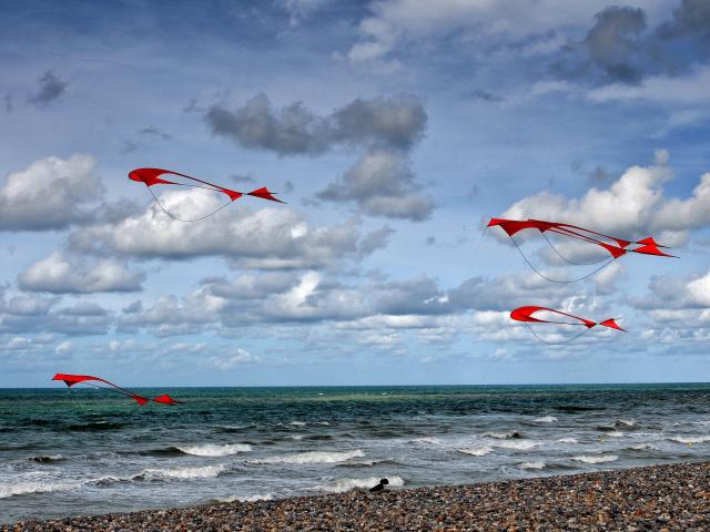 Festival Cerfs Volants Dieppe Yann Pelcat 18