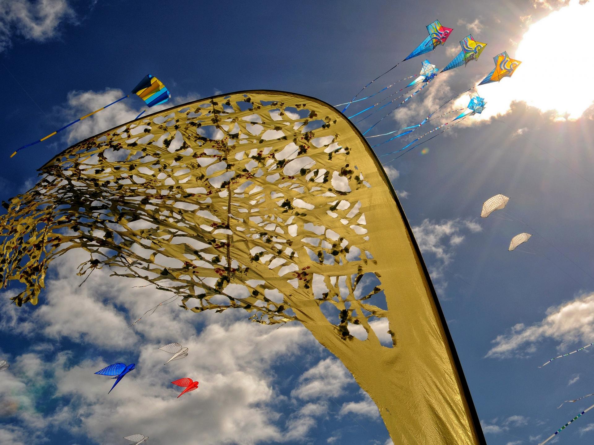 Internationales Kite-Festival | dieppe-maritime-tourisme