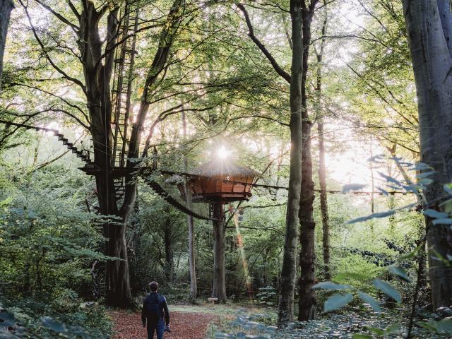 Cabane dans les arbres dans une forêt.