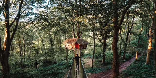 Jeune homme se rendant à une cabane suspendue dans un arbre d'une forêt.