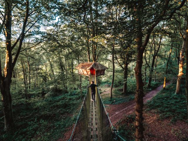 Jeune homme se rendant à une cabane suspendue dans un arbre d'une forêt.