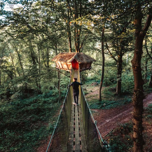 Jeune homme se rendant à une cabane suspendue dans un arbre d'une forêt.