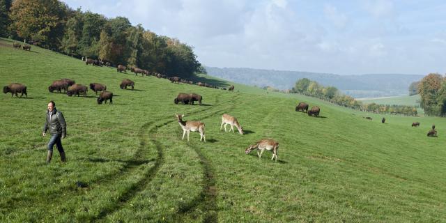 Parc Canadien Reve De Bisons Muchedent Sma H Zangl