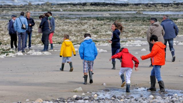 Groupe de personne sur la plage et visitant le littoral