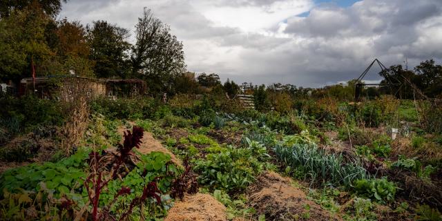 Vue de la permaculture Nouvelles Elégances