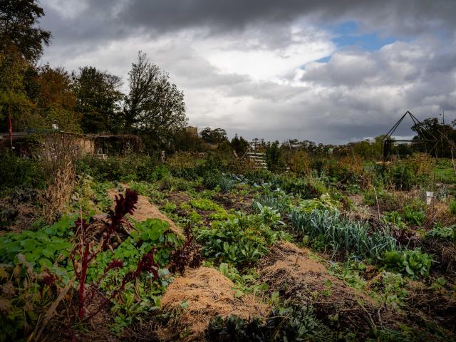 Vue de la permaculture Nouvelles Elégances