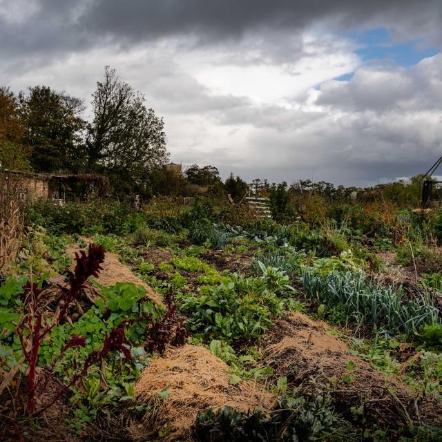 Vue de la permaculture Nouvelles Elégances