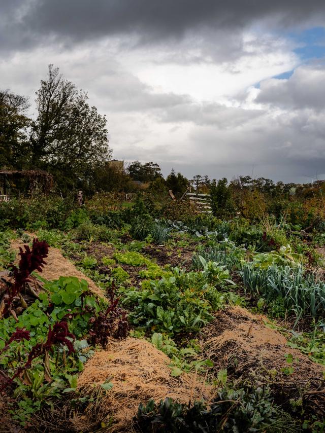 Vue de la permaculture Nouvelles Elégances