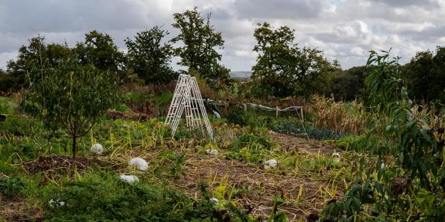 Vue de la Permaculture Nouvelles Elégances