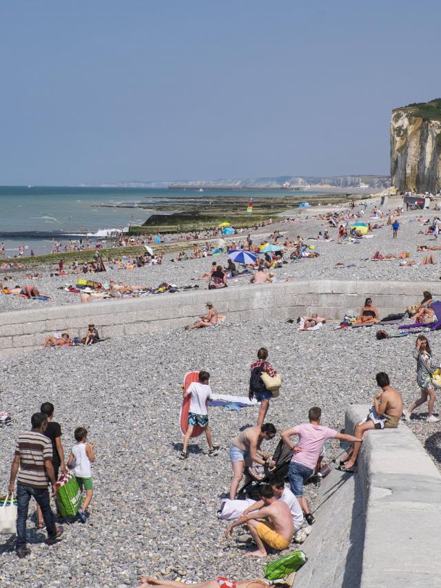 plage de Pourville-sur-Mer, commune de Hautot-sur-Mer (76) avec les falaises de craie la côte d'albâtre et du pays de Caux