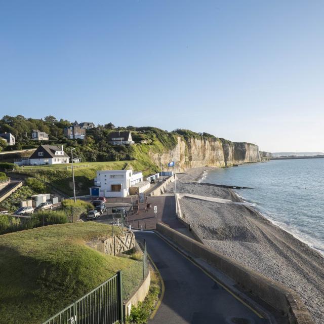 Point de vue sur la plage de Puys où l'on aperçois les falaises beiges recouvertes de vert, la plage de galets et la mer.