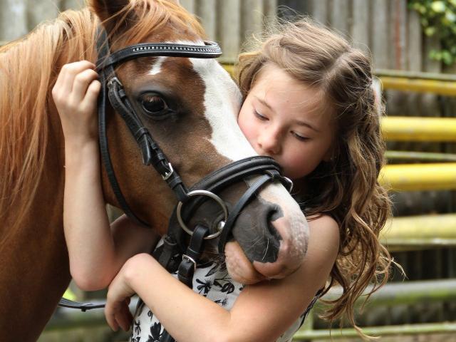 Petite fille enlaçant le museau d'un poney marron et blanc