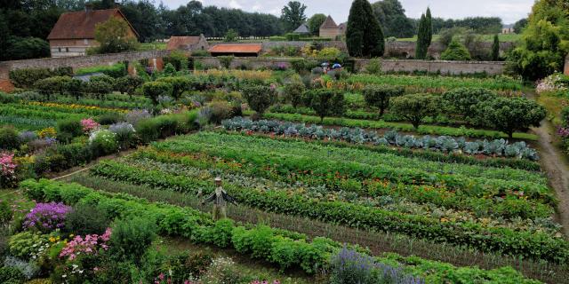 Vue d'en haut du jardin potager, rangée de légumes aux nuances vertes, mix border fleuris, épouvantail