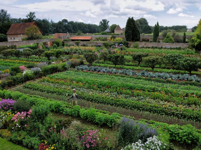 Vue d'en haut du jardin potager, rangée de légumes aux nuances vertes, mix border fleuris, épouvantail