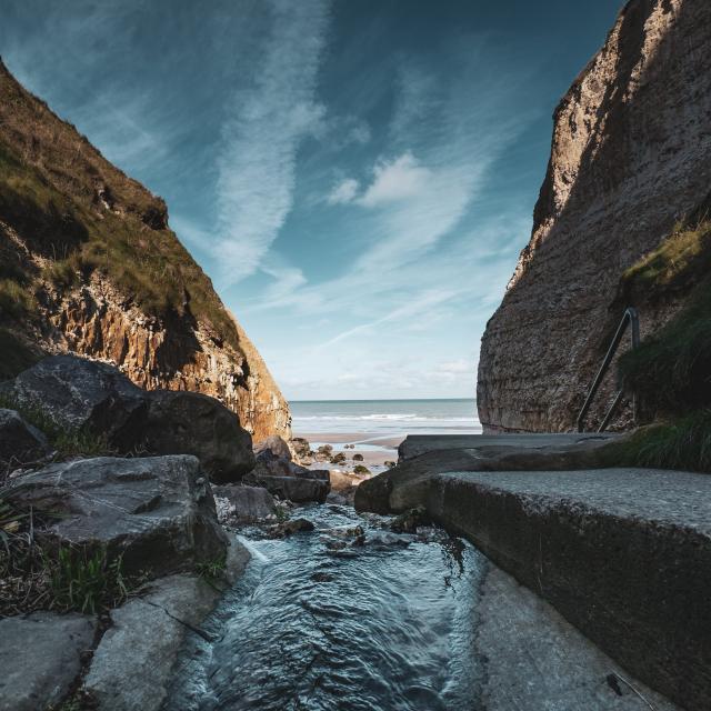 Vue de la Valleuse à Varengeville-sur-Mer