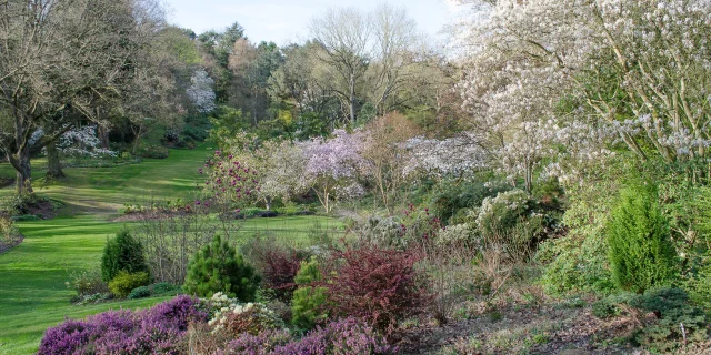 Vue dégagée sur le jardin, herbe verte, massifs de fleurs aux teintes violettes