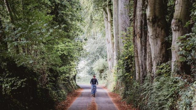 Jeune homme à vélo dans une rue boisée de Varengeville-Sur-Mer