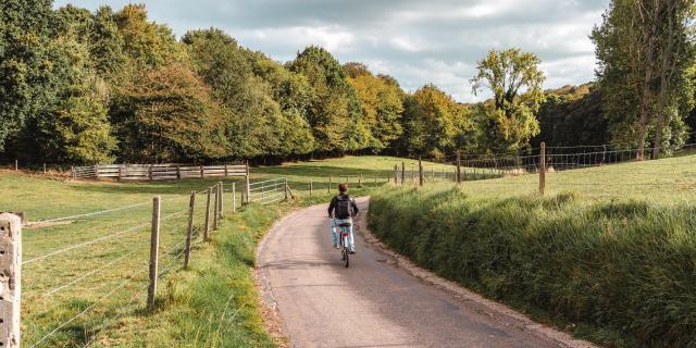 Jeune homme à vélo dans une rue descendante au milieu des champs à Varengeville-Sur-Mer.