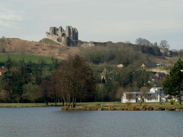 Vue sur le Château d'Arques depuis un étang où nage un cygne