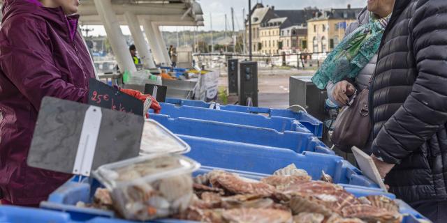 Marche Poissons Coquilles Dieppe Giada Connestari 6