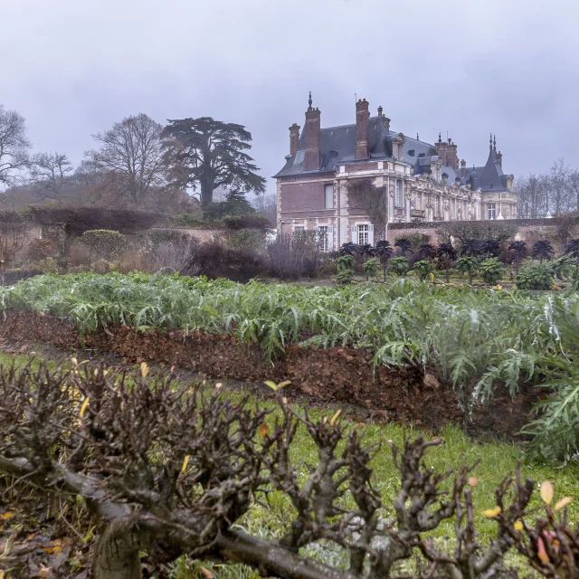 Potager dans une ambiance hivernale et brumeuse, arbres et plantations sans feuille, château à l'arrière-plan