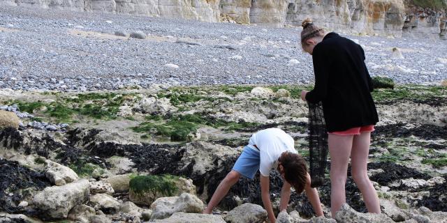 Un jeune homme et une jeune fille ramassent des coquillages entre les rochers sur la plage de Dieppe