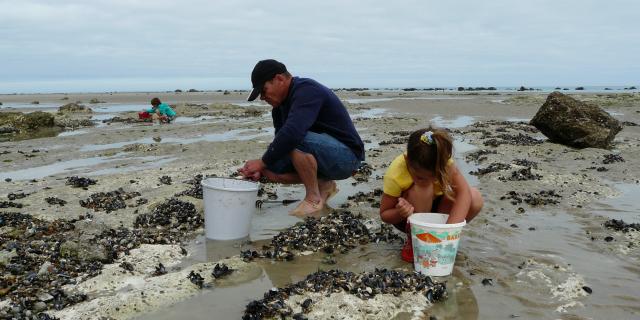 Un homme et une petite fille ramassent des coquillages dans les rochers sur la plage à marée basse