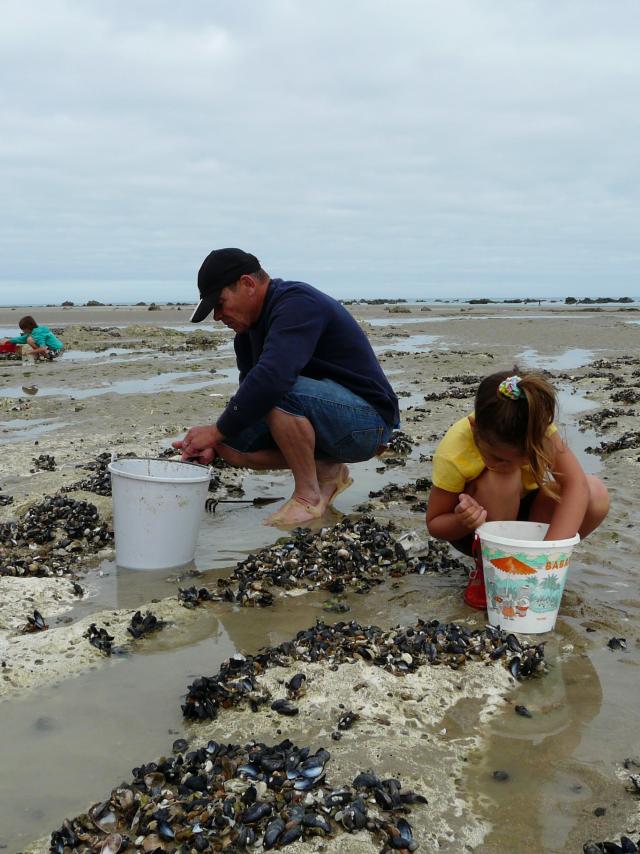 Un homme et une petite fille ramassent des coquillages dans les rochers sur la plage à marée basse