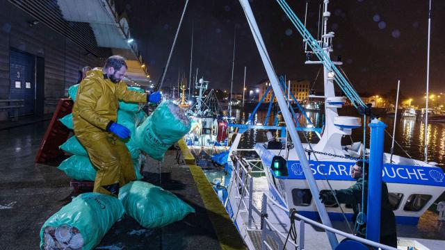 Marins déchargeant des sacs de coquilles Saint-Jacques d'un bateau amarré au port, de nuit