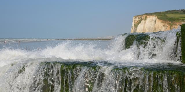 Plage De Pourville Scie Jean Decaux